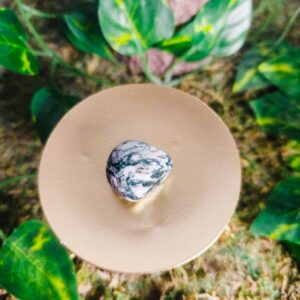 Agate Arbre