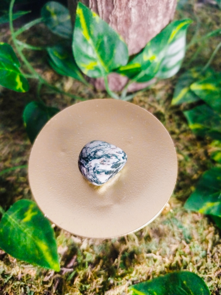 pierre roulée pierre naturelle agate arbre