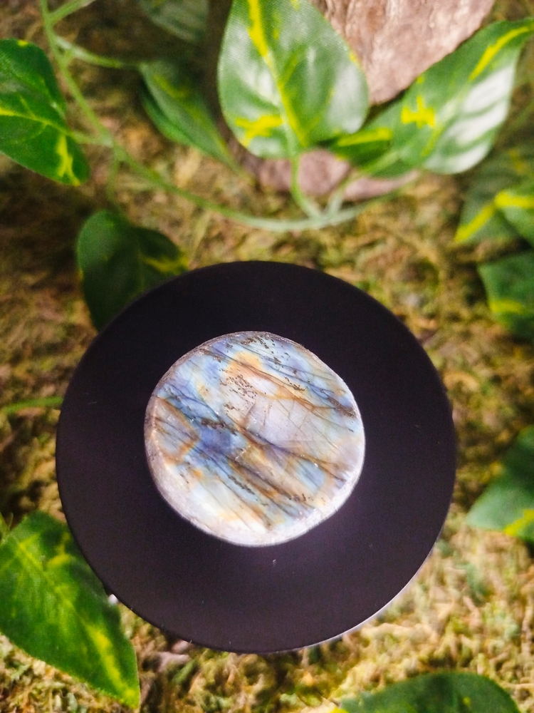 Galet Arrondi Face Polie Labradorite