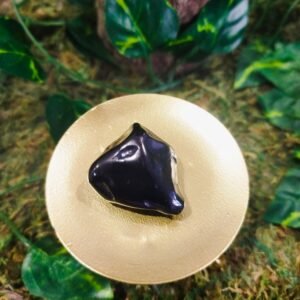 Shungite