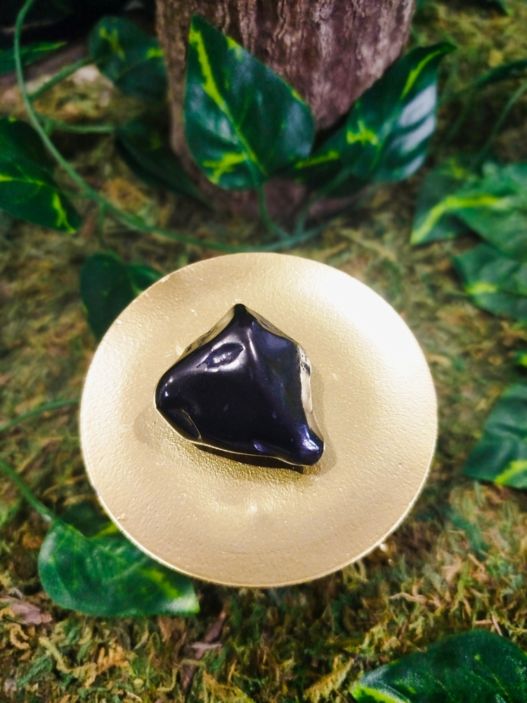 pierre roulée pierre naturelle shungite