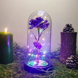 Rose Violette Enchantée