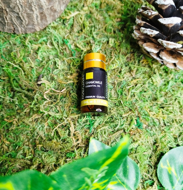 Huile essentielle de camomille 5 ml – qualité premium