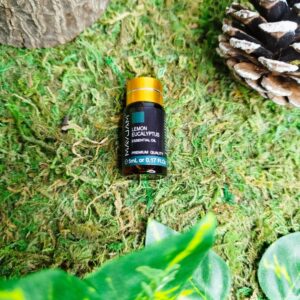 Eucalyptus Citronné