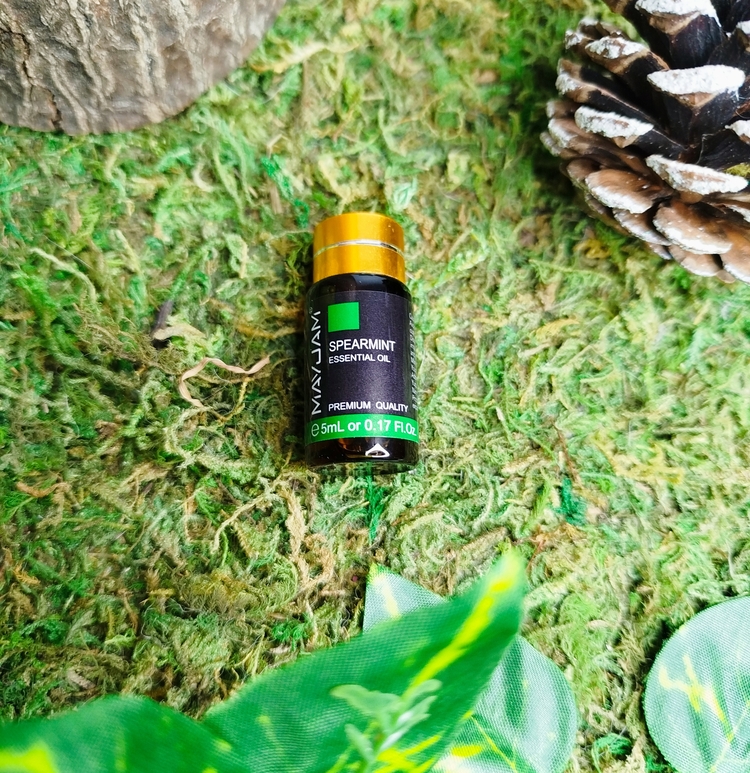 Huile essentielle de menthe verte 5 ml – qualité premium