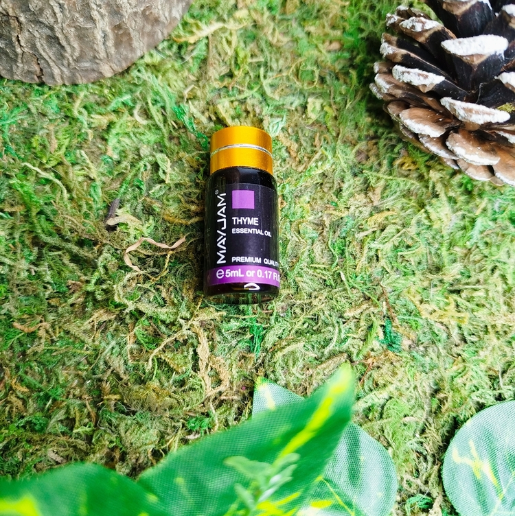 Huile essentielle de thym 5 ml – qualité premium