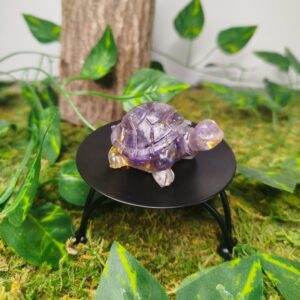 Tortue Améthyste