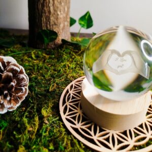 Bulle Déclaration
