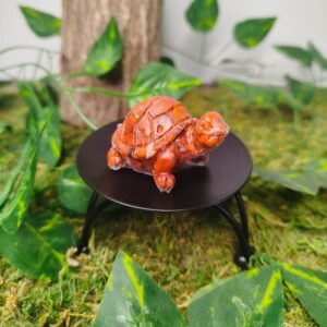 Tortue Jaspe Rouge
