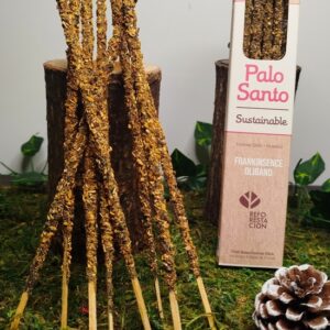 Palo Santo & Oliban
