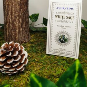 Sauge Blanche Ayurvédique – Format Découverte