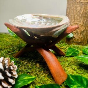 Support Coquille d’Ormeau