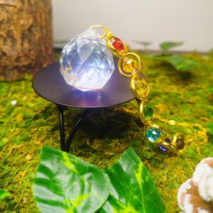 Capteur de Soleil – 7 Chakras