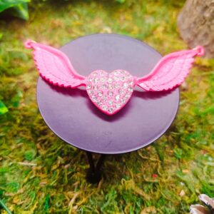 Cœur d&rsquo;Ange