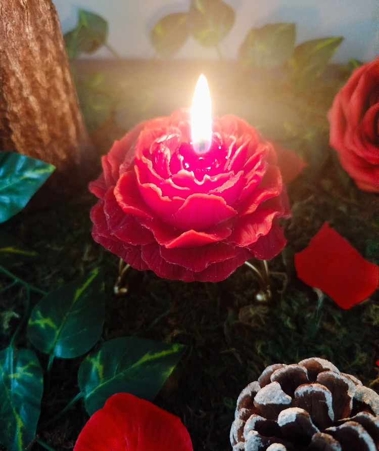 bougie création rose rouge parfumée