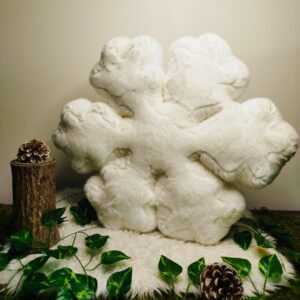 Flocon de Neige