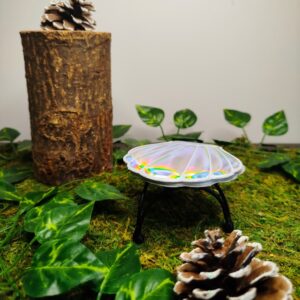 Coquillage Irisé