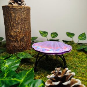 Coquillage Violet Irisé
