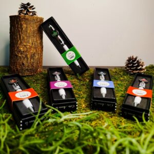 Stylo Année de Naissance – Édition Limitée
