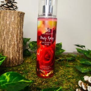 Éclosion de Rose